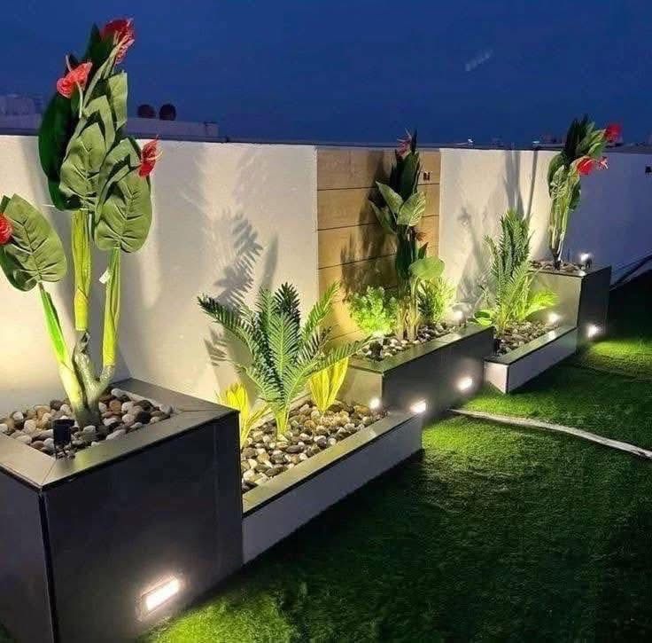 تصميم الحديقة
