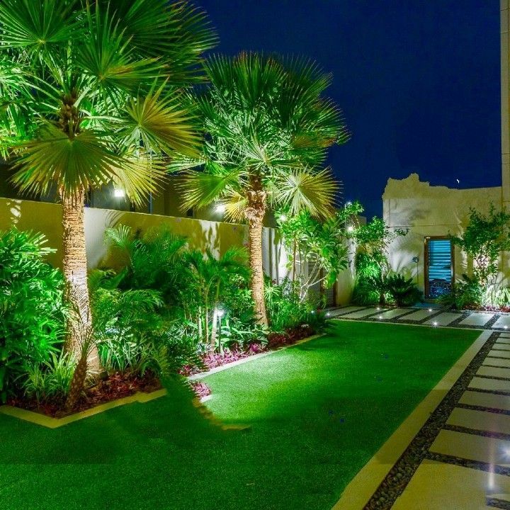 أشجار مناسبة لمناخ الرياض